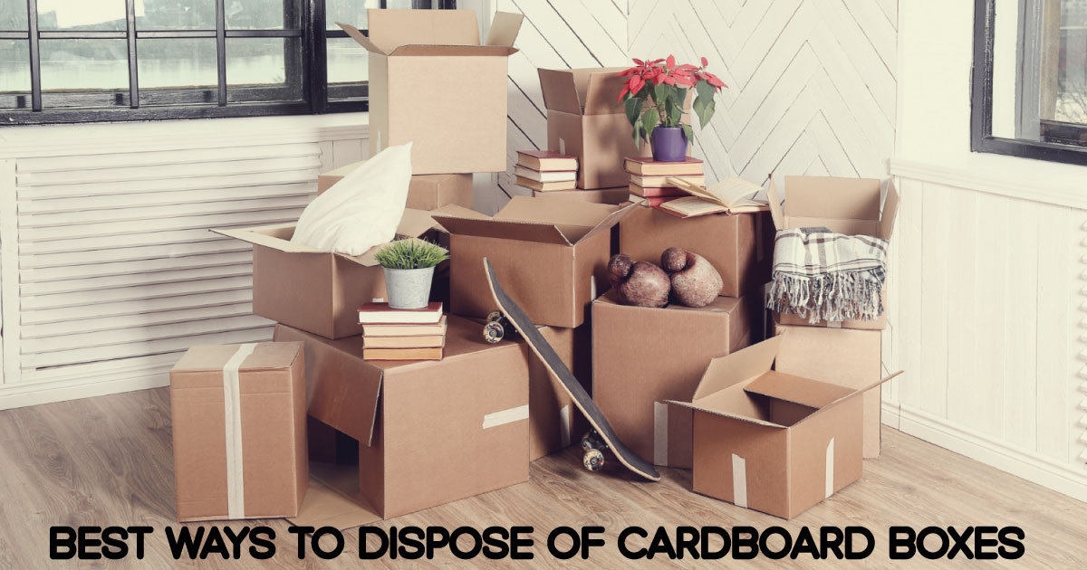 Top 5 Best Ways to Dispose of Cardboard Boxes Sustainably